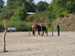 DSC_9284_web